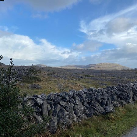 Burren Garden Glamping Hut Villa Boston Eksteriør billede