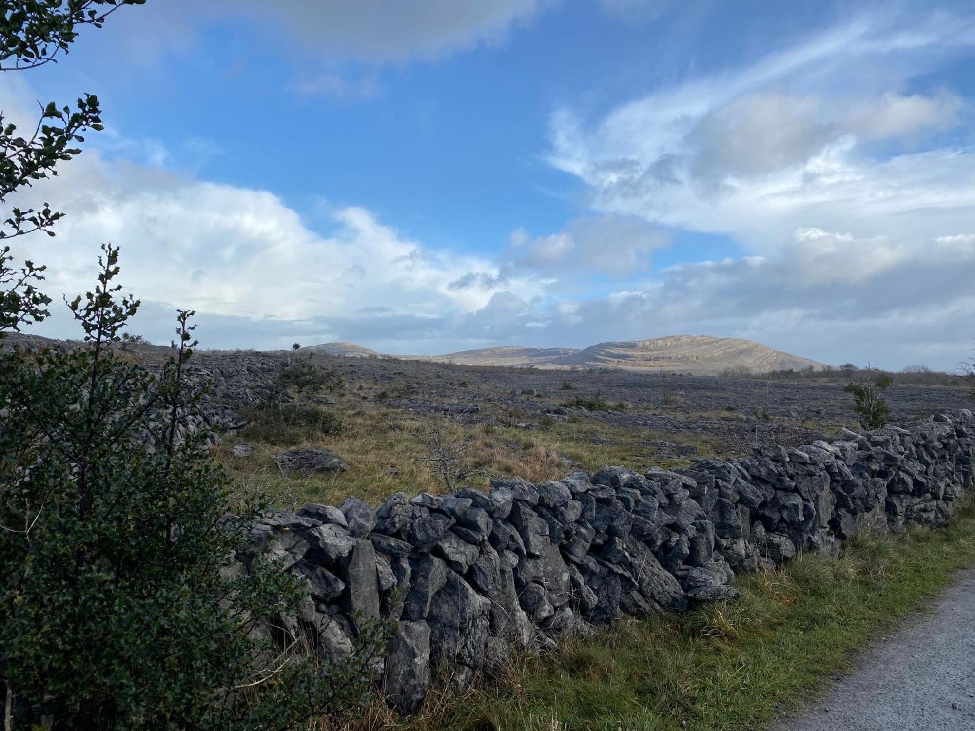 Burren Garden Glamping Hut Villa Boston Eksteriør billede